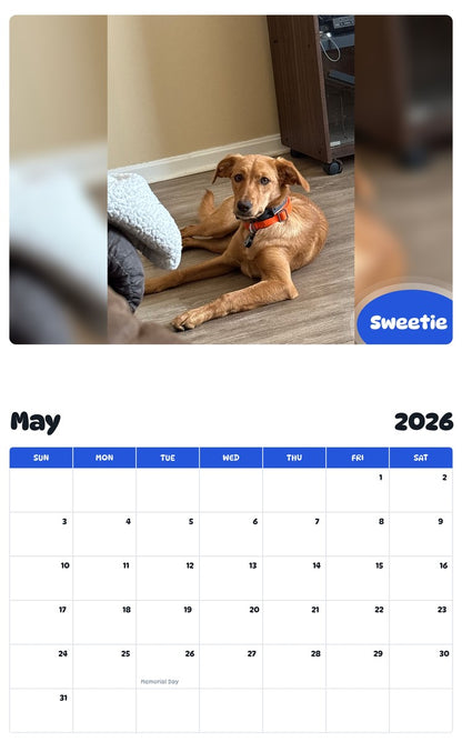 2026 - 2027 Sweetie - Pawidols Pet Calendar