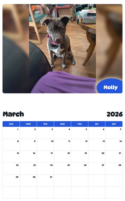 November 2025 - October 2026 Molly - Pawidols Pet Calendar