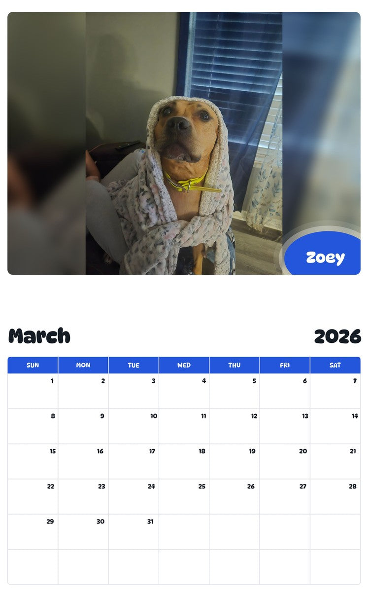November 2025 - October 2026 Zoey - Pawidols Pet Calendar