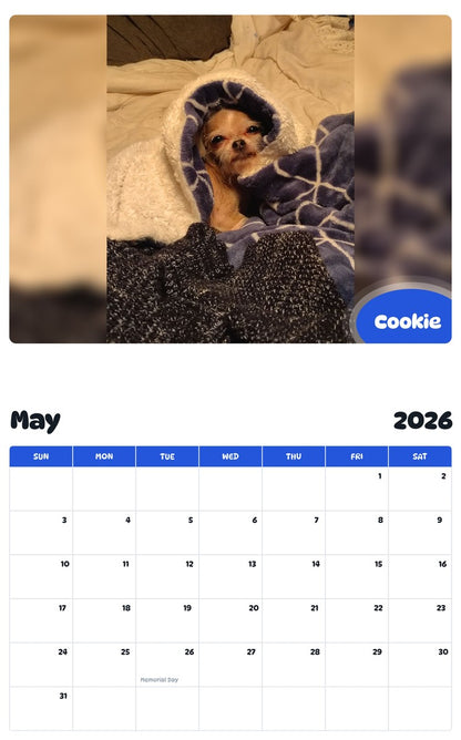 2026 - 2027 Cookie - Pawidols Pet Calendar