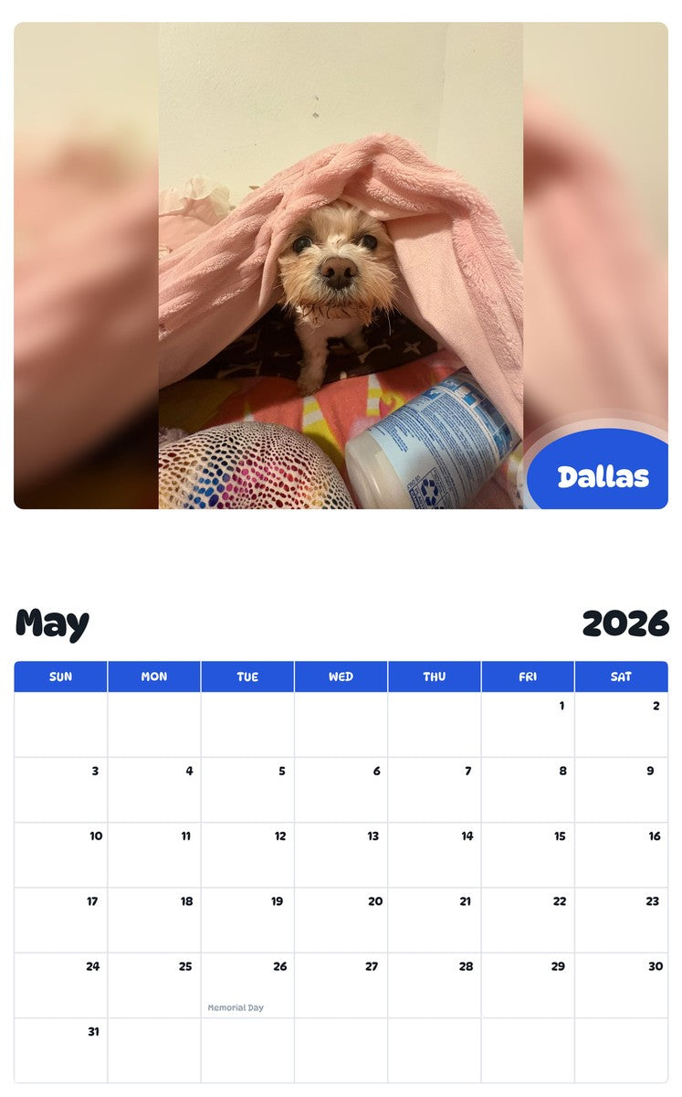 2026 - 2027 Dallas - Pawidols Pet Calendar