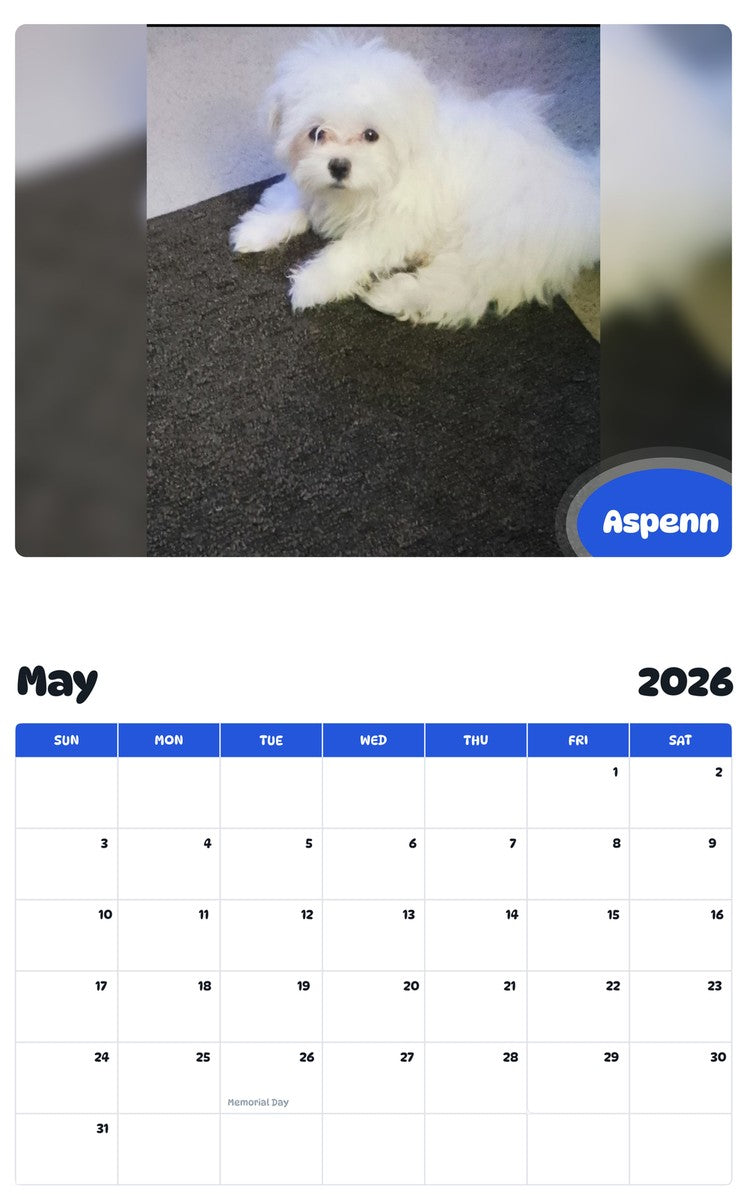 2026 - 2027 Aspenn - Pawidols Pet Calendar
