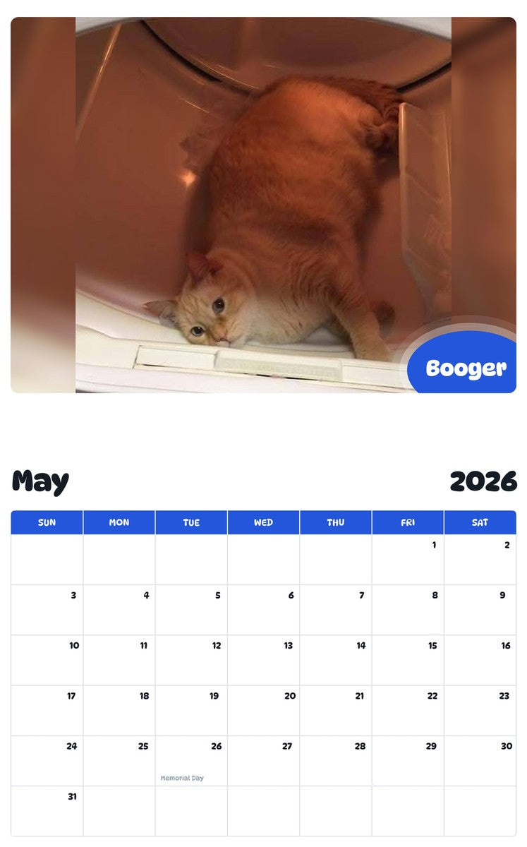 2026 - 2027 Booger - Pawidols Pet Calendar