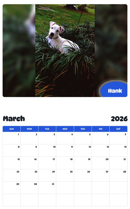 November 2025 - October 2026 Hank - Pawidols Pet Calendar