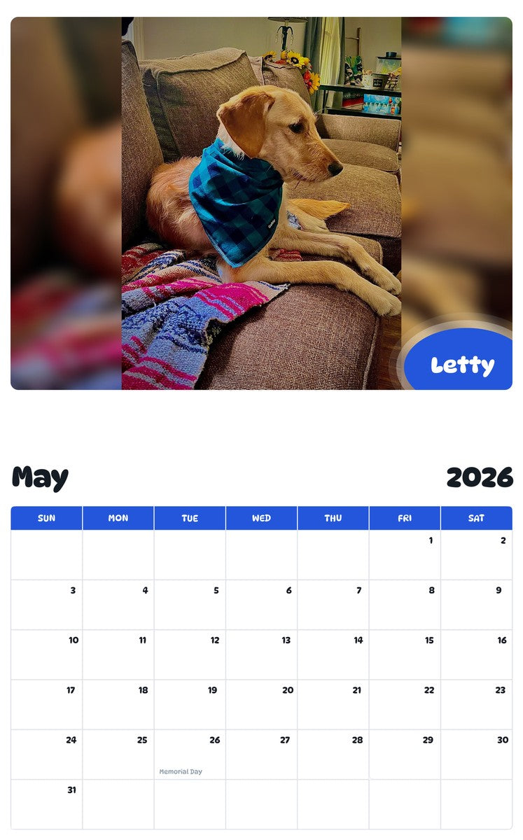 2026 - 2027 Letty - Pawidols Pet Calendar