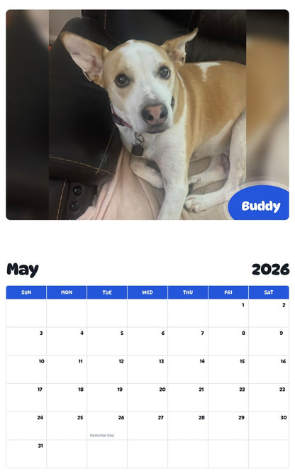 2026 - 2027 Buddy - Pawidols Pet Calendar