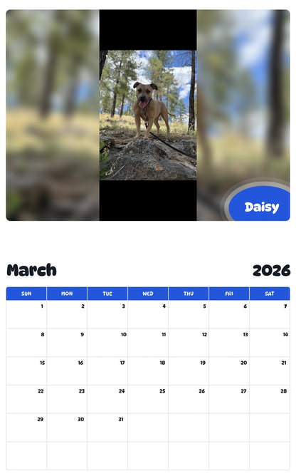 November 2025 - October 2026 Daisy - Pawidols Pet Calendar