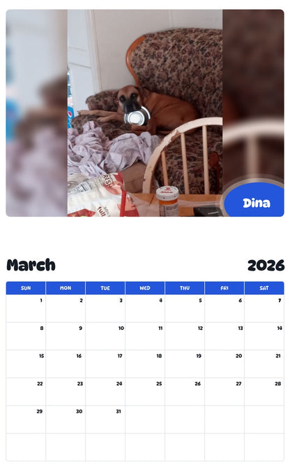 November 2025 - October 2026 Dina - Pawidols Pet Calendar