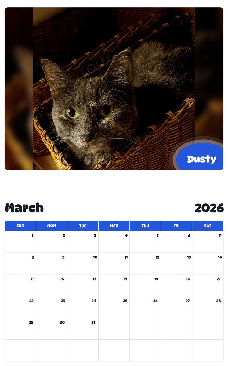 November 2025 - October 2026 Dusty - Pawidols Pet Calendar