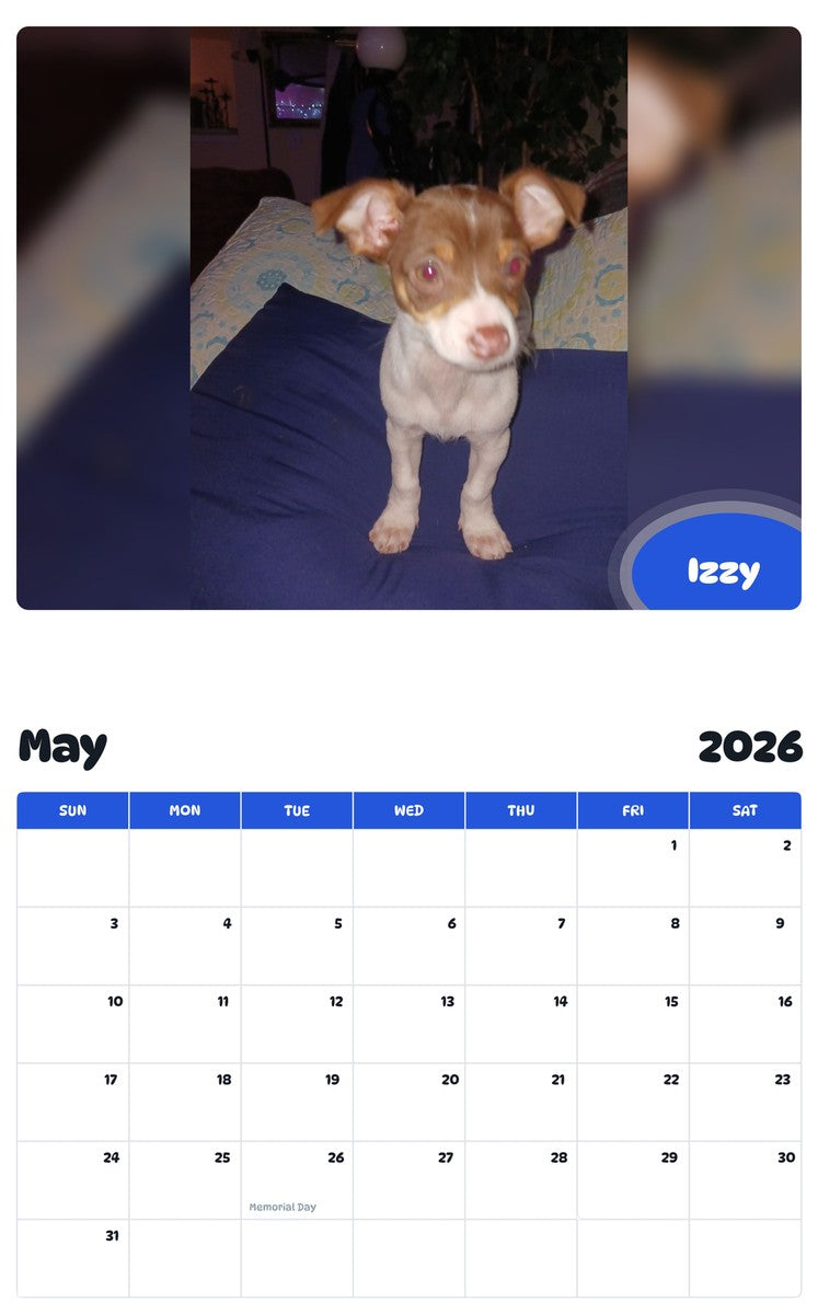 2026 - 2027 Izzy - Pawidols Pet Calendar