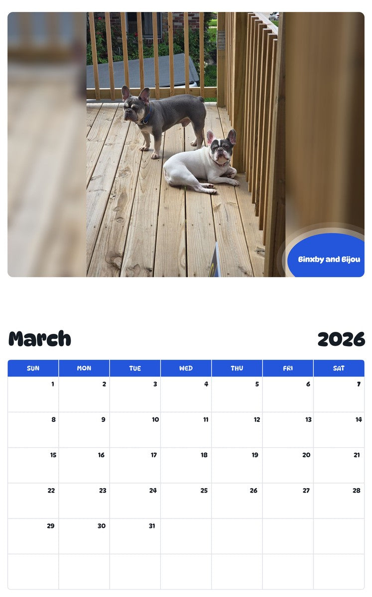 November 2025 - October 2026 Binxby and Bijou - Pawidols Pet Calendar