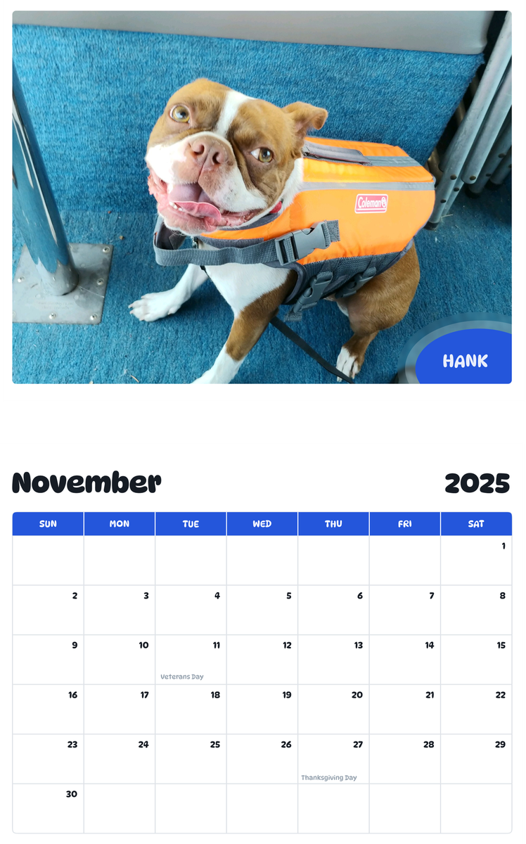 July 2025 - June 2026 Hank - Pawidols Pet Calendar