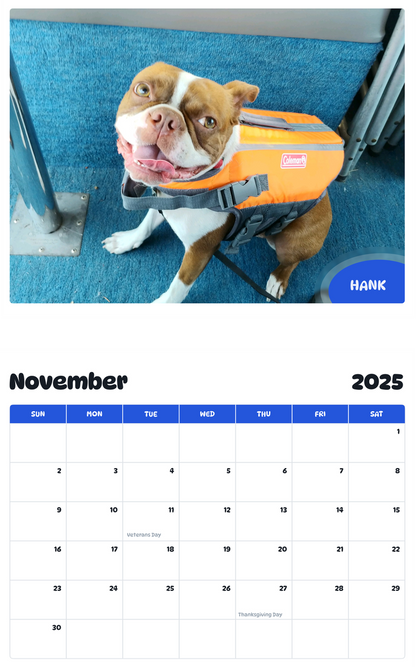 July 2025 - June 2026 Hank - Pawidols Pet Calendar