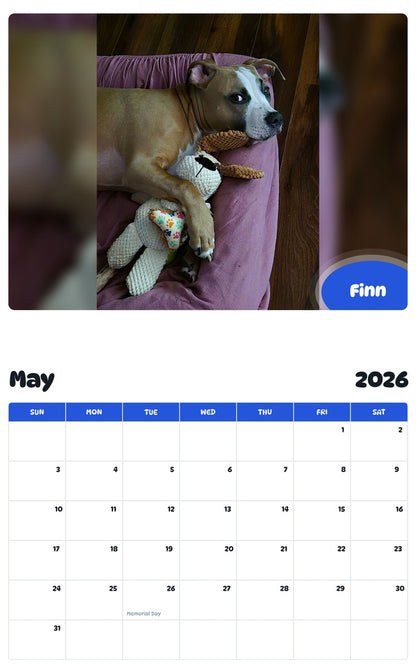2026 - 2027 Finn - Pawidols Pet Calendar