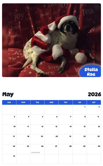 2026 - 2027 Stella Rae - Pawidols Pet Calendar
