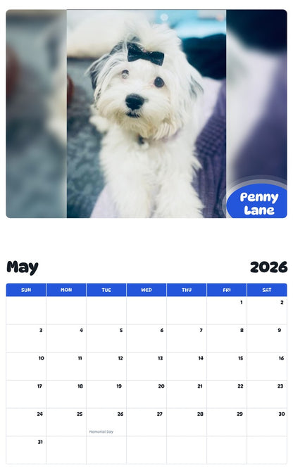 2026 - 2027 Penny Lane - Pawidols Pet Calendar