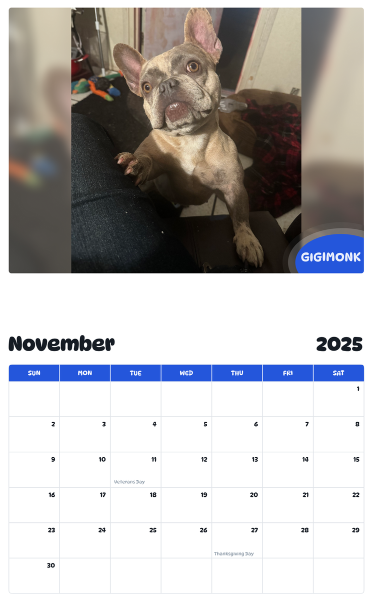 July 2025 - June 2026 Gigimonk - Pawidols Pet Calendar