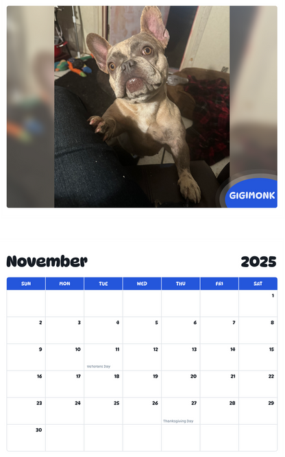 July 2025 - June 2026 Gigimonk - Pawidols Pet Calendar