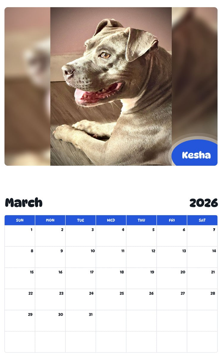 November 2025 - October 2026 Kesha - Pawidols Pet Calendar