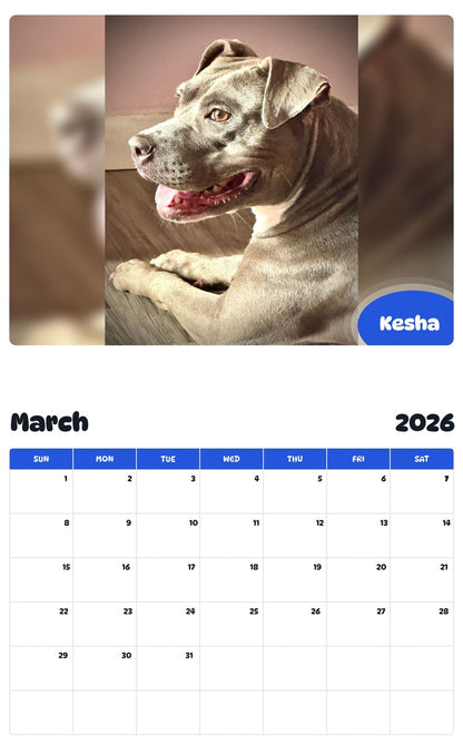 November 2025 - October 2026 Kesha - Pawidols Pet Calendar