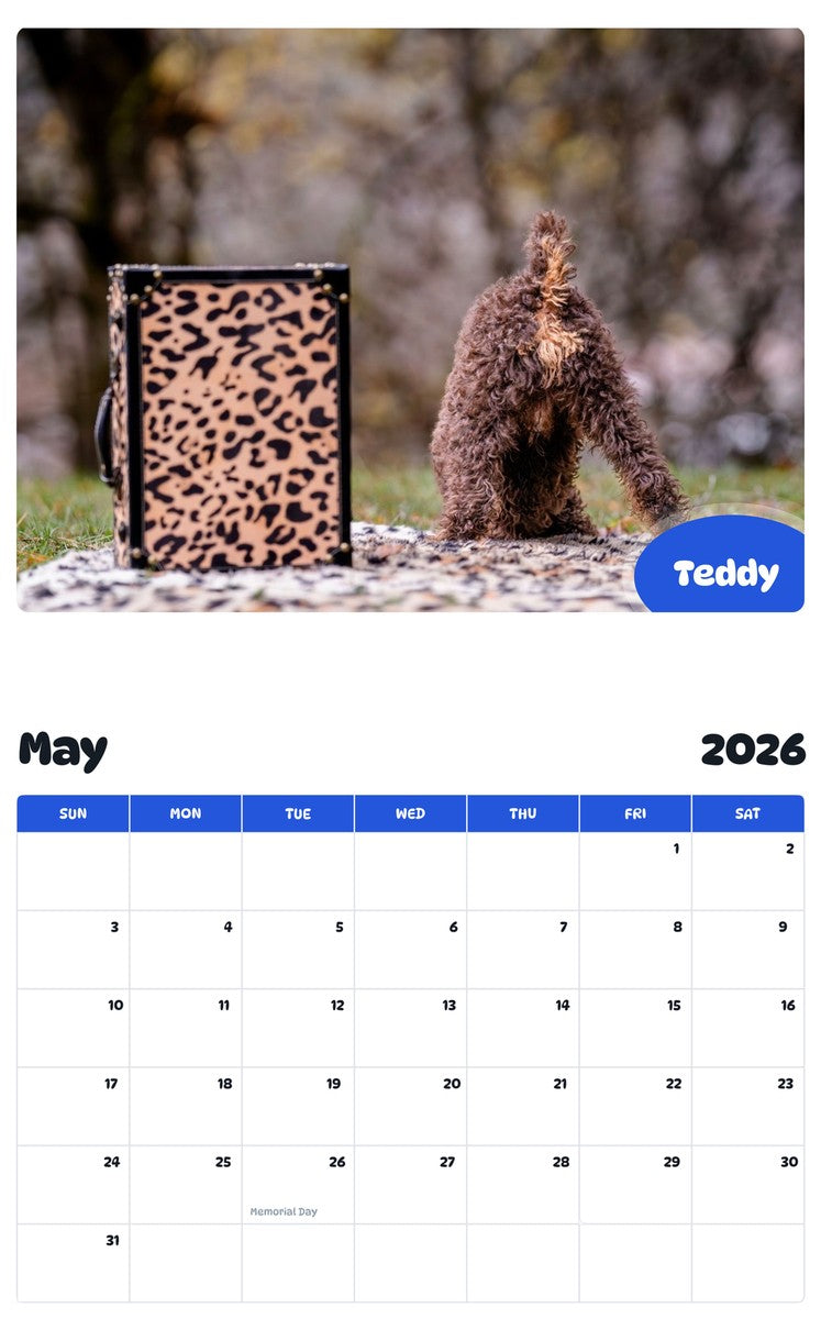 2026 - 2027 Teddy - Pawidols Pet Calendar