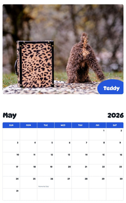 2026 - 2027 Teddy - Pawidols Pet Calendar