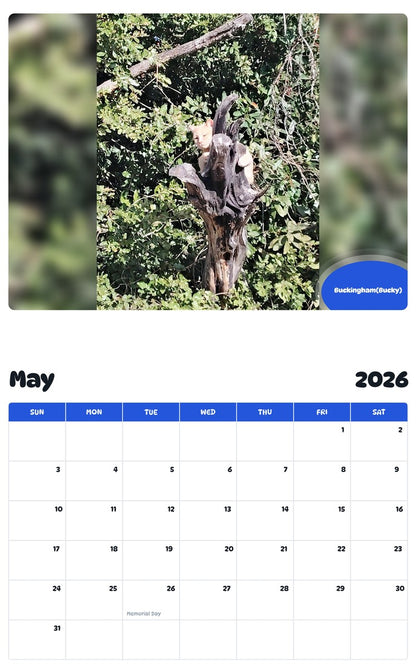 2026 - 2027 Buckingham(Bucky) - Pawidols Pet Calendar