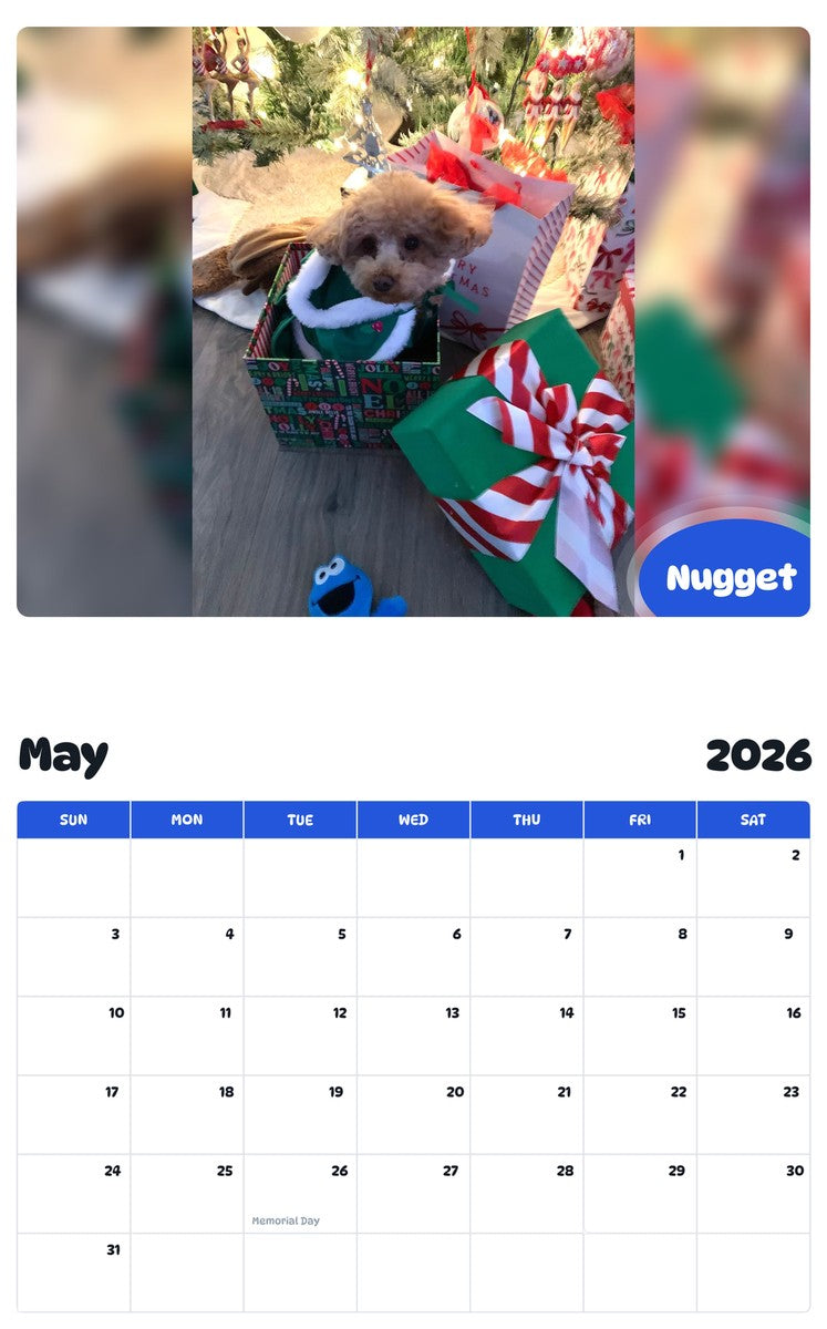 2026 - 2027 Nugget - Pawidols Pet Calendar