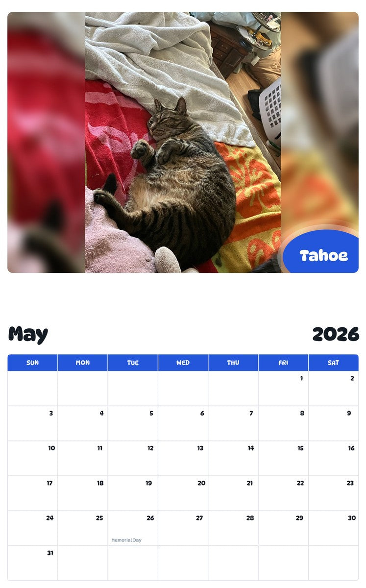 2026 - 2027 Tahoe - Pawidols Pet Calendar