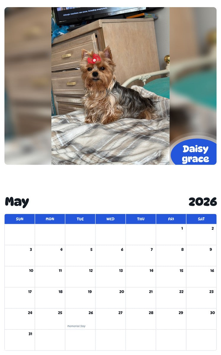 2026 - 2027 Daisy grace - Pawidols Pet Calendar