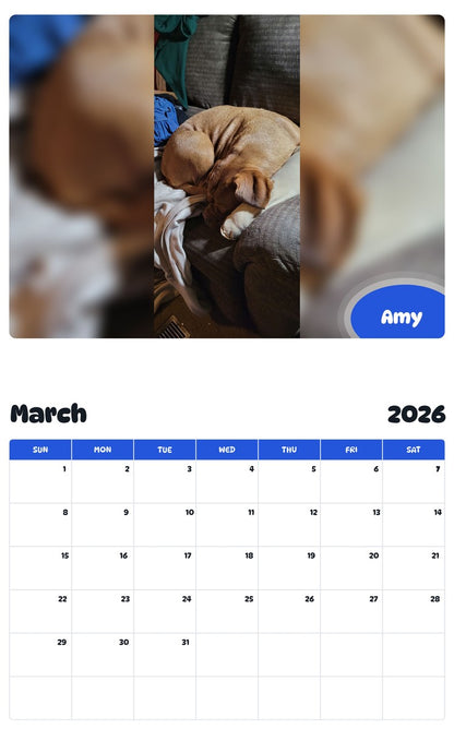 November 2025 - October 2026 Amy - Pawidols Pet Calendar
