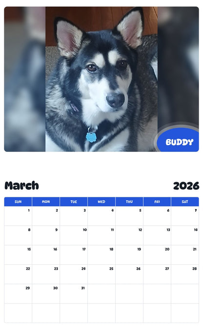 November 2025 - October 2026 BUDDY - Pawidols Pet Calendar