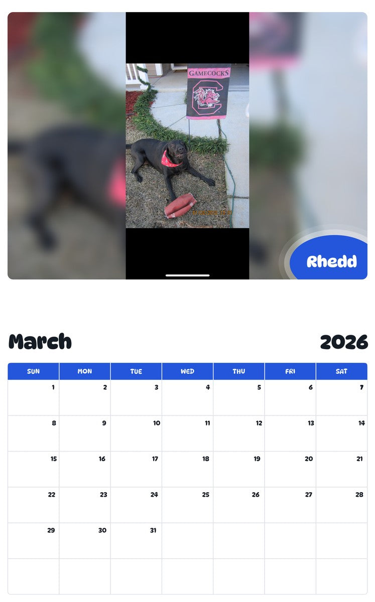 November 2025 - October 2026 Rhedd - Pawidols Pet Calendar