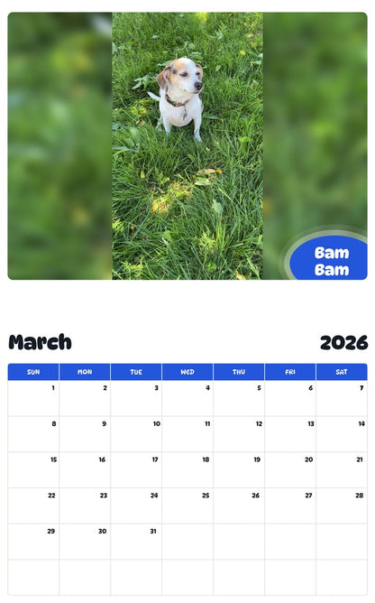 November 2025 - October 2026 Bam Bam - Pawidols Pet Calendar