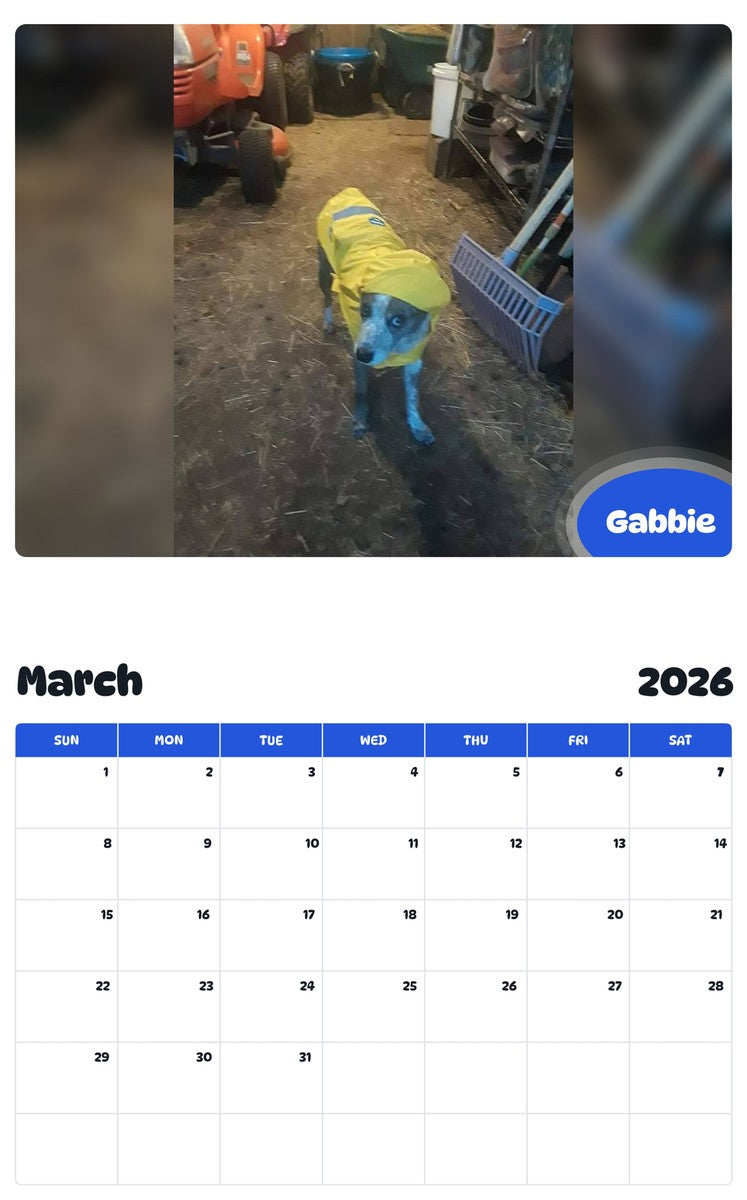 November 2025 - October 2026 Gabbie - Pawidols Pet Calendar