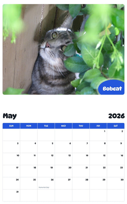 2026 - 2027 Bobcat - Pawidols Pet Calendar