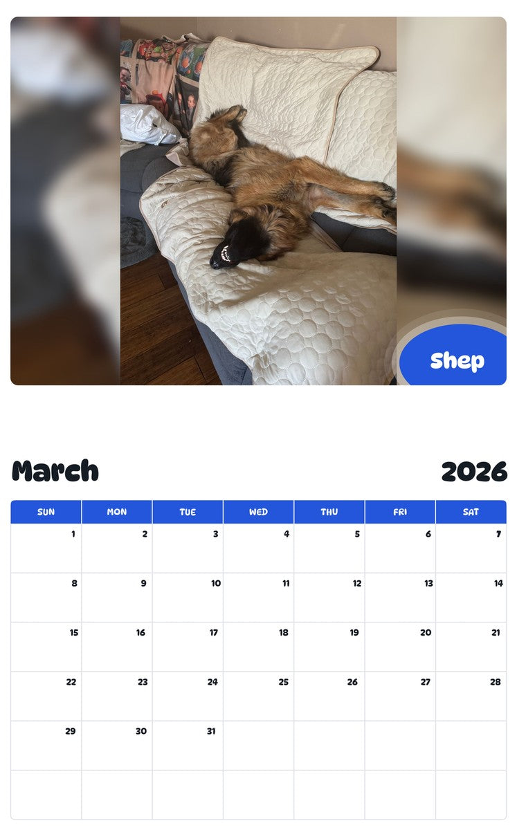 November 2025 - October 2026 Shep - Pawidols Pet Calendar