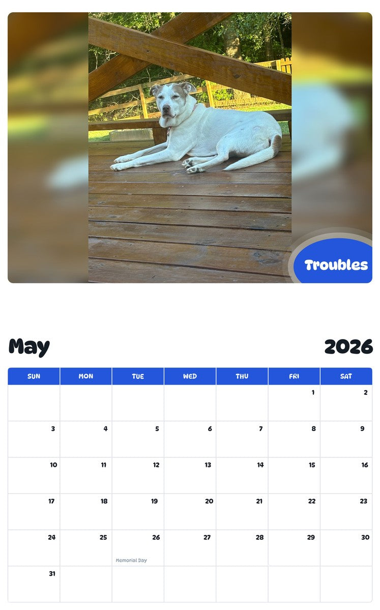 2026 - 2027 Troubles - Pawidols Pet Calendar
