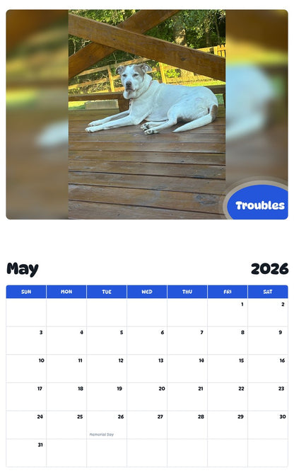 2026 - 2027 Troubles - Pawidols Pet Calendar