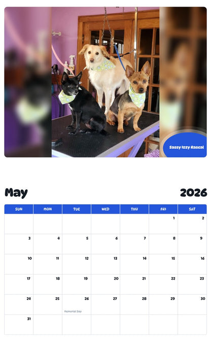 2026 - 2027 Sassy Izzy Rascal - Pawidols Pet Calendar