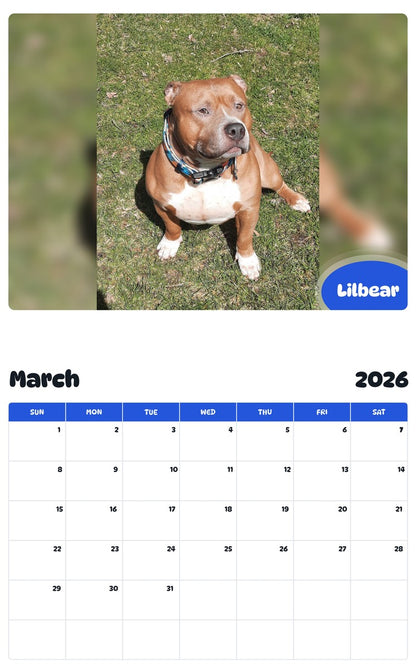 November 2025 - October 2026 Lilbear - Pawidols Pet Calendar