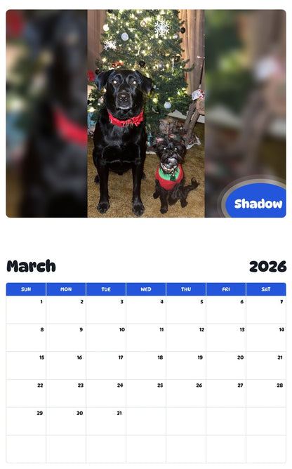 November 2025 - October 2026 Shadow - Pawidols Pet Calendar