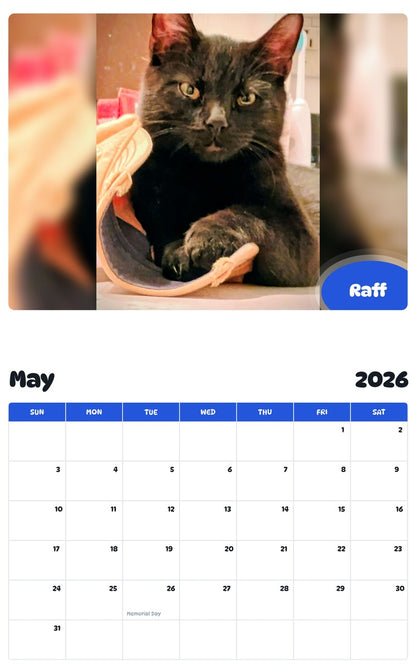 2026 - 2027 Raff - Pawidols Pet Calendar