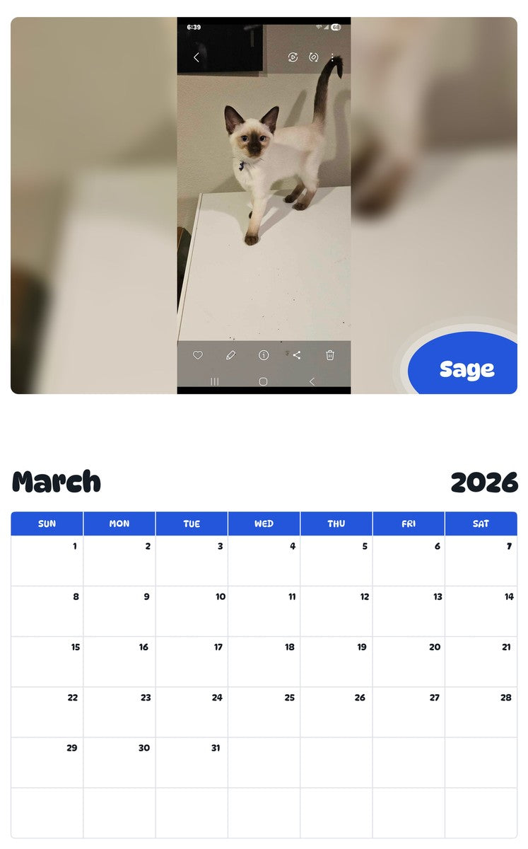 November 2025 - October 2026 Sage - Pawidols Pet Calendar