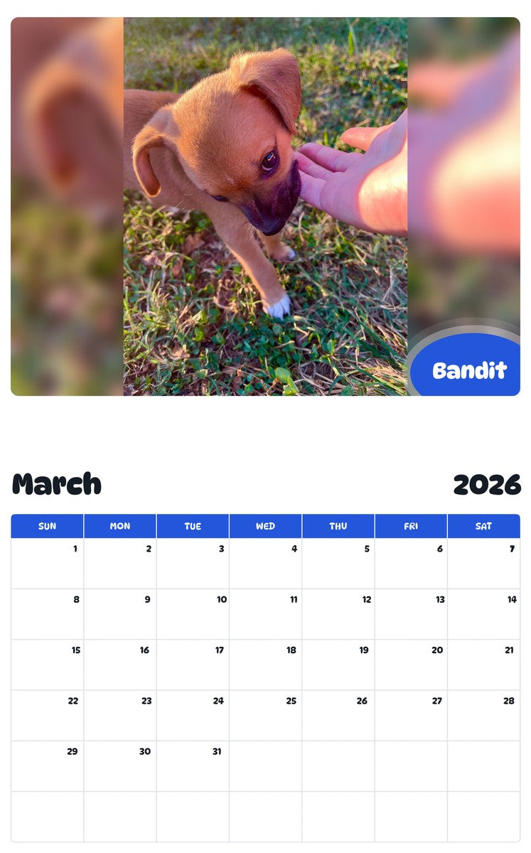 November 2025 - October 2026 Bandit - Pawidols Pet Calendar