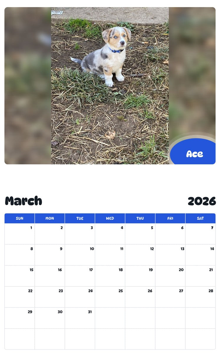 November 2025 - October 2026 Ace - Pawidols Pet Calendar