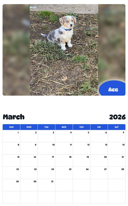 November 2025 - October 2026 Ace - Pawidols Pet Calendar
