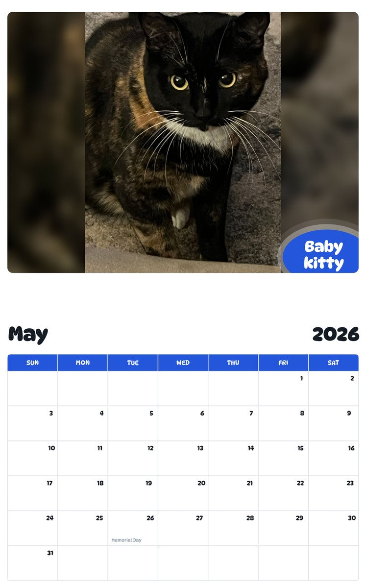 2026 - 2027 Baby kitty - Pawidols Pet Calendar