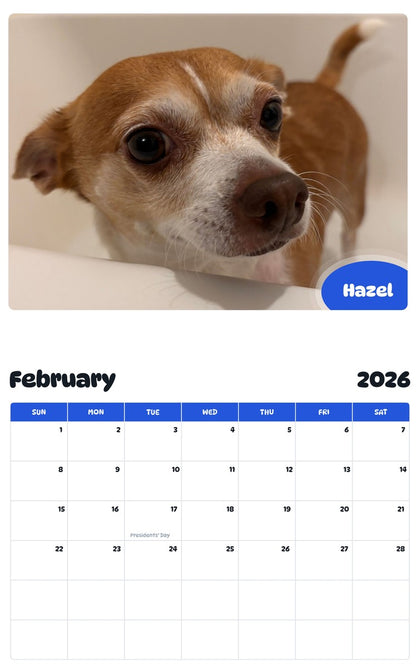 November 2025 - October 2026 Hazel - Pawidols Pet Calendar