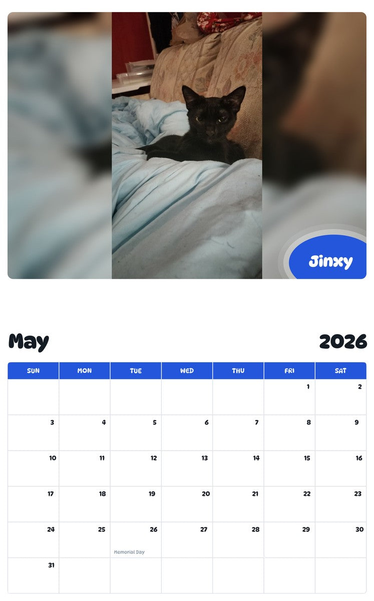 2026 - 2027 Jinxy - Pawidols Pet Calendar